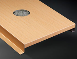 常規(guī)蜂窩板系列